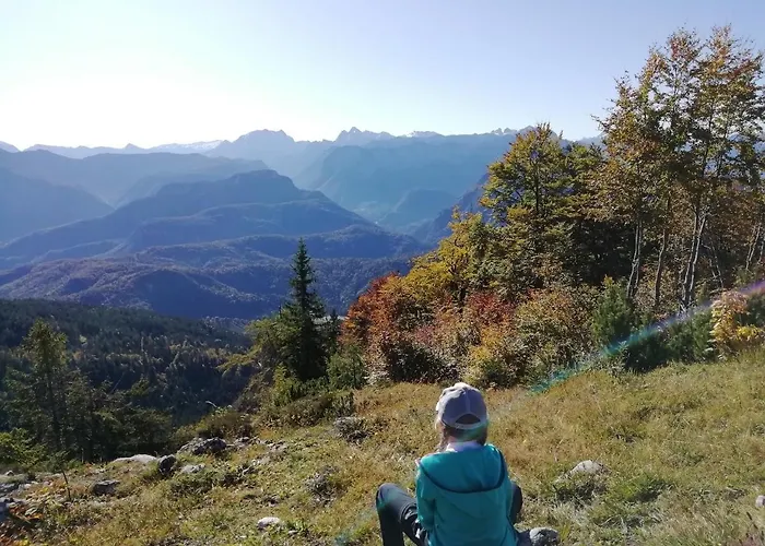 Eckarthof * 施奈茨尔罗伊特