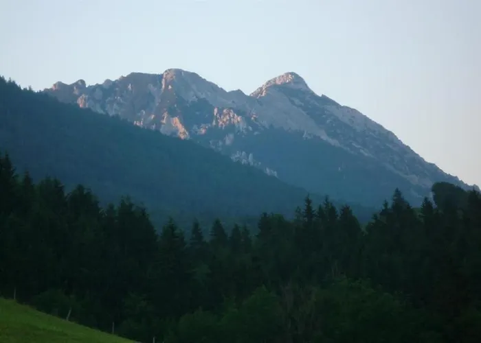 Eckarthof 施奈茨尔罗伊特