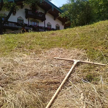Eckarthof *