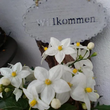 Eckarthof Apartment