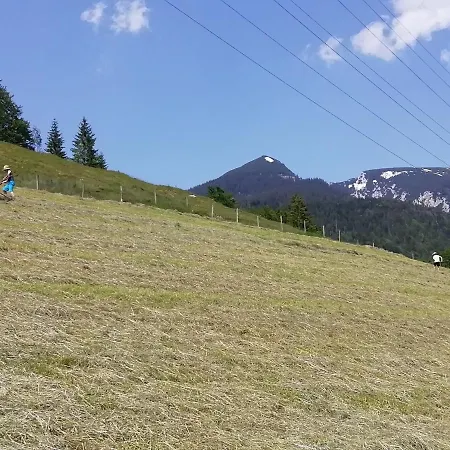 Eckarthof 아파트 *